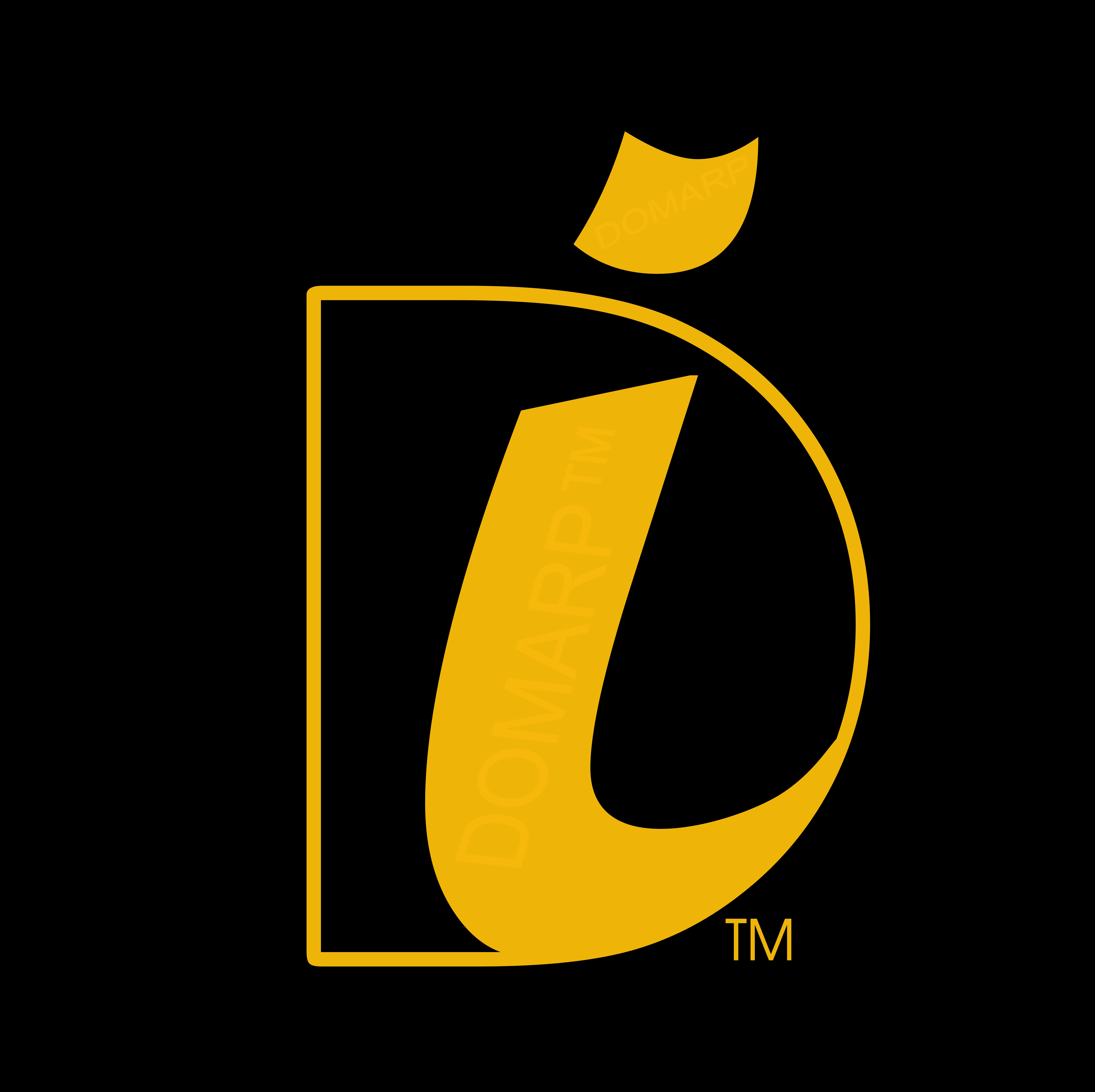 Domarp Infratech Logo